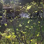 度假居 Negrell