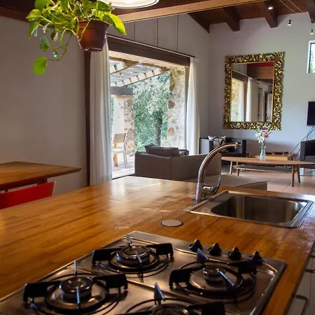 Holiday home Negrell Vidreres