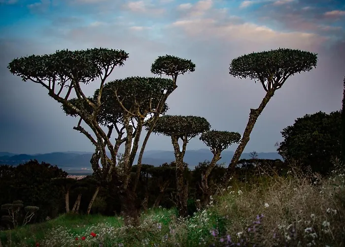 Casa de Férias Negrell *
