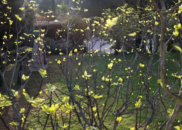 Casa de Férias Negrell