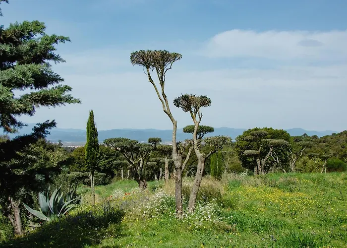 Negrell Casa de Férias Vidreres